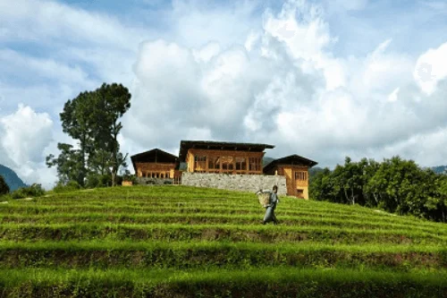 Bukhari at Uma by COMO, Punakha