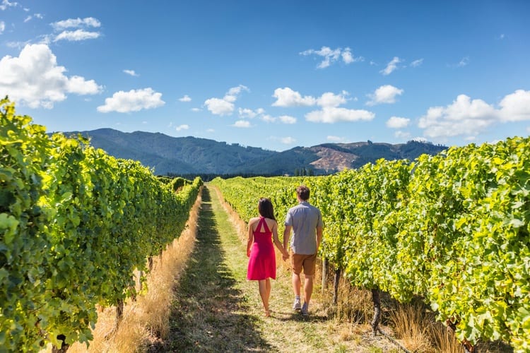 10D9N - Wine adventure - New Zealand