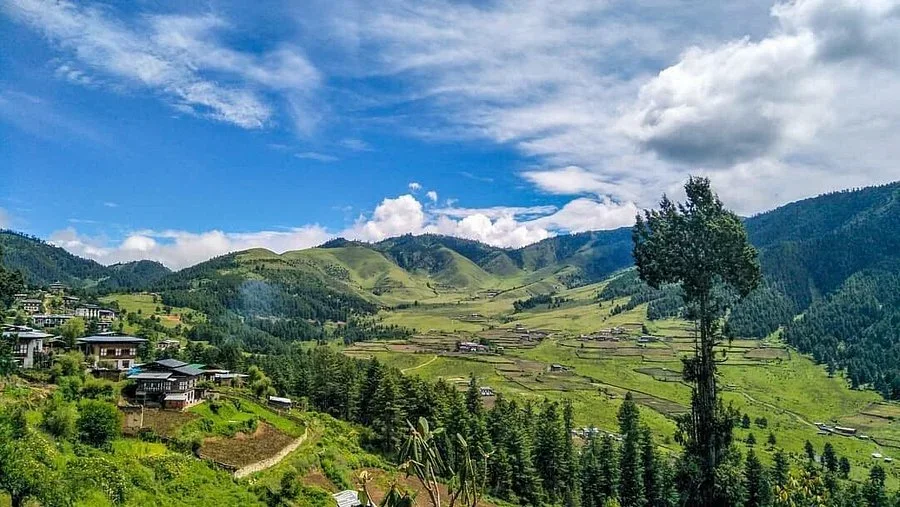 Phobjikha Valley / Gangtey