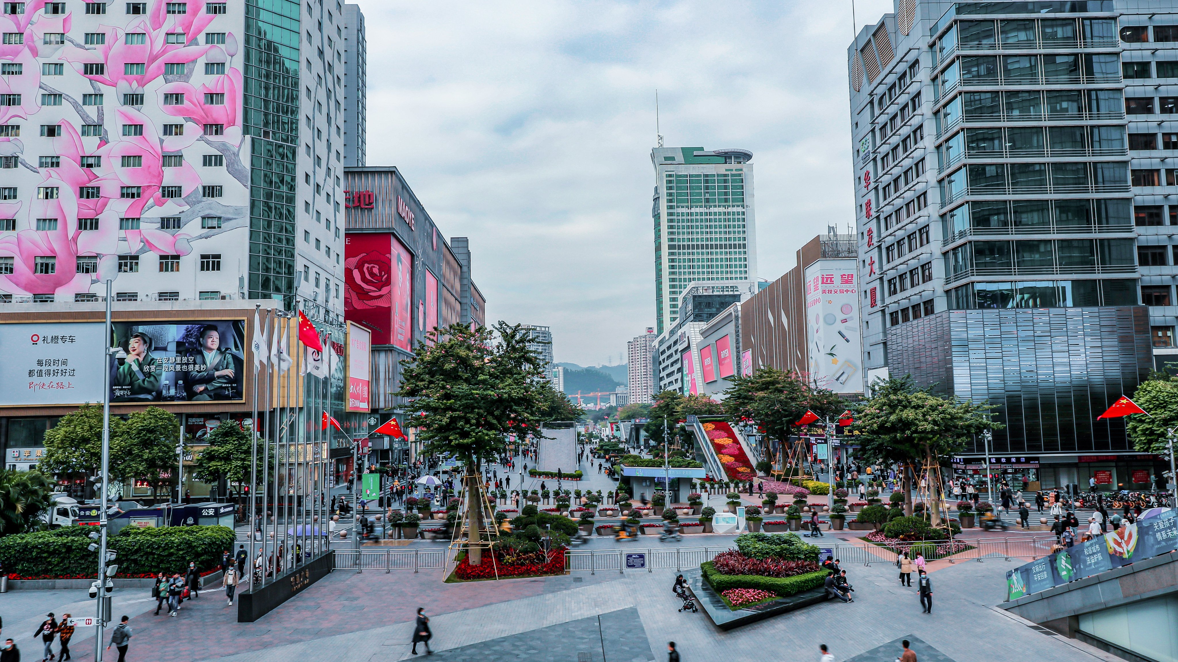 Shenzhen Curated: A Dialogue Between Avant-Garde Art and Coastal Serenity