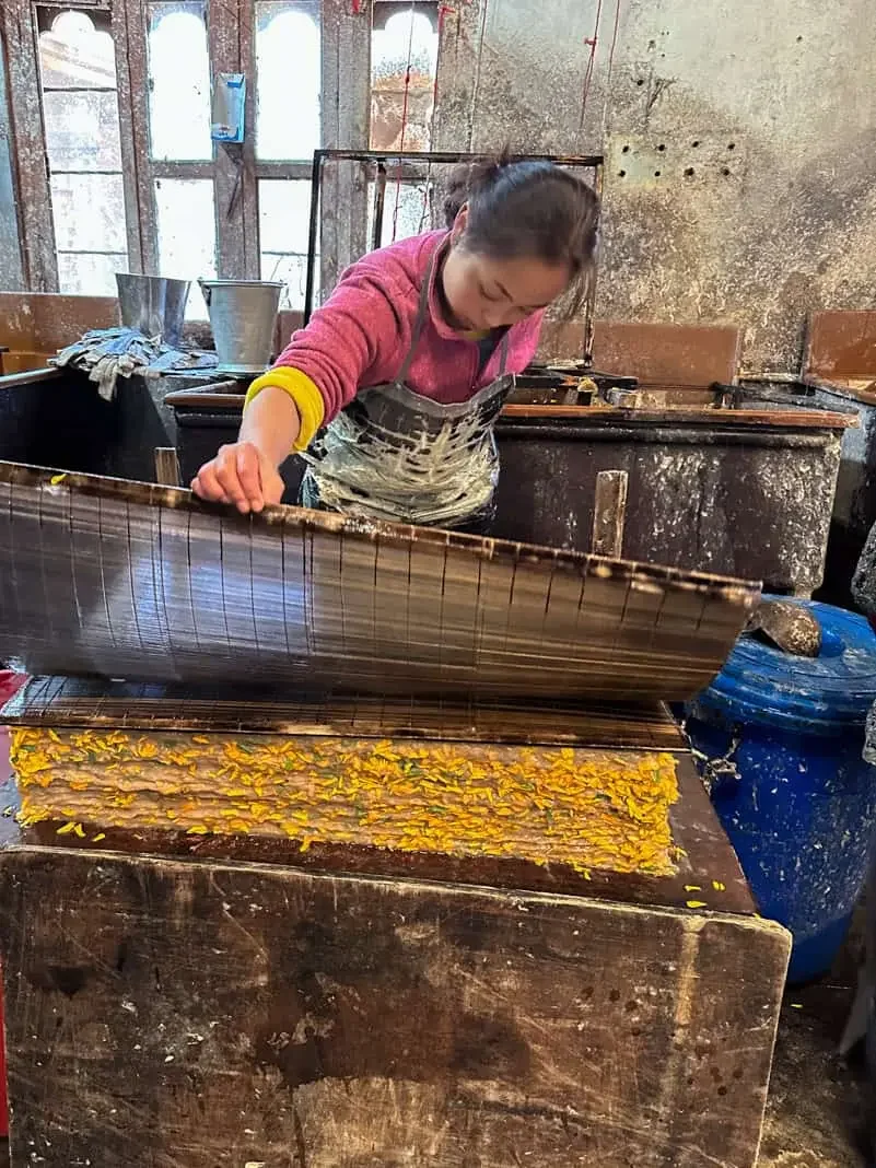 Daphne Paper Making
